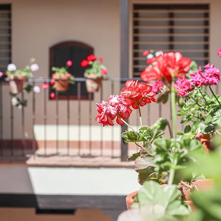 Charming In The Center - 10m Walk Isla Magica Apartamento *